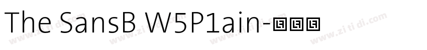 The SansB W5P1ain字体转换